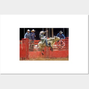 Bull rider Posters and Art